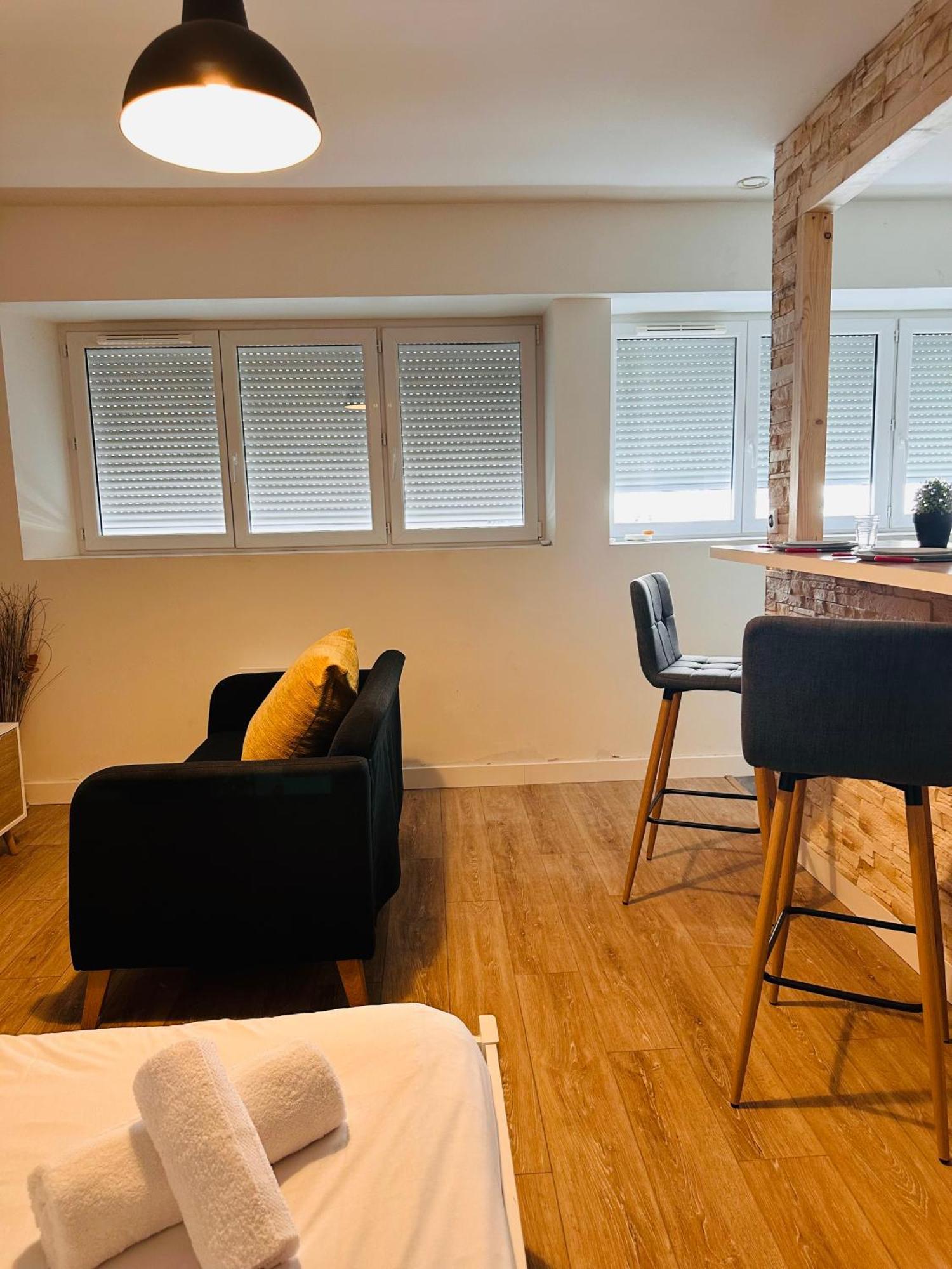 Appartement Cosy Proche De Toutes Les Commodites ออร์เลออง ภายนอก รูปภาพ